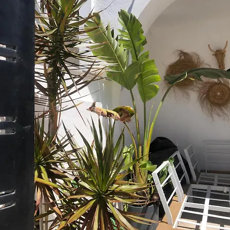 Apartment Casa Kava In A Superior Near Cabopino No Car Needed Marbella